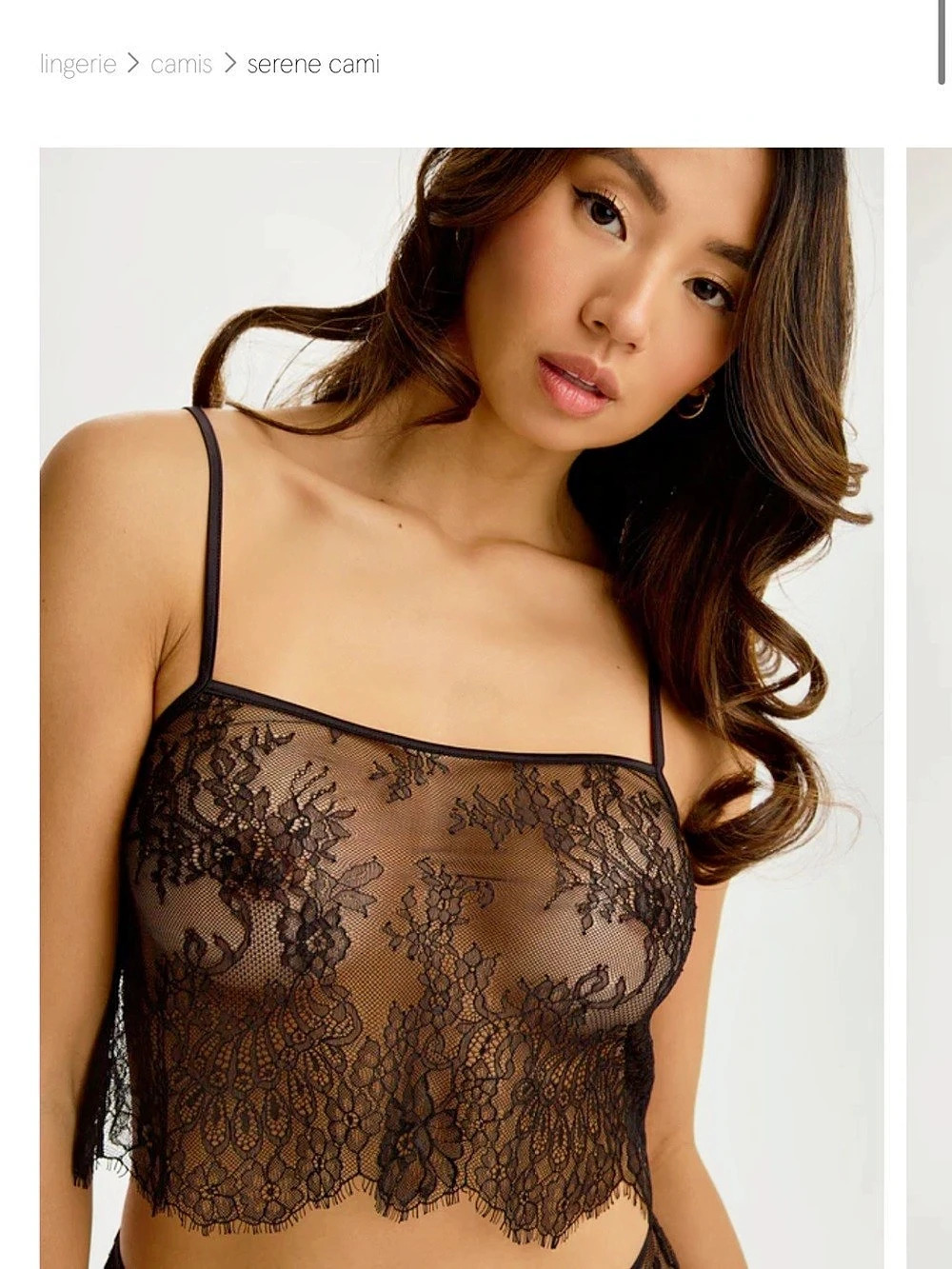 blush Serene Cami Lace Cami in Black Size Small Like New